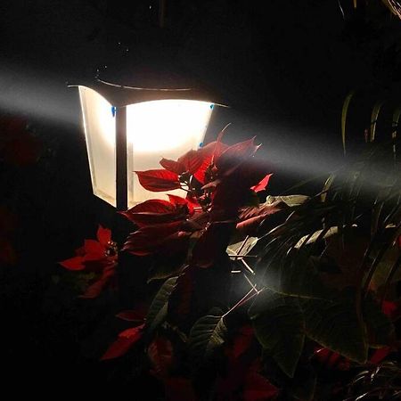 Valecha Villa Entire 4Bhkbunglow With 5000 Sq Ft Garden Lonavala Eksteriør bilde