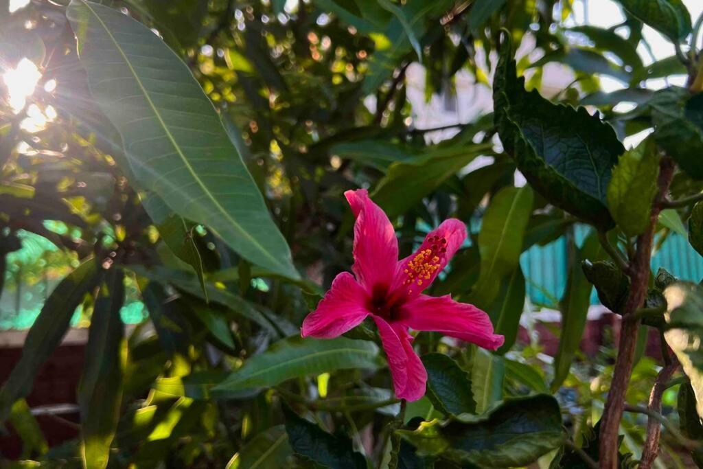 Valecha Villa Entire 4Bhkbunglow With 5000 Sq Ft Garden Lonavala Eksteriør bilde